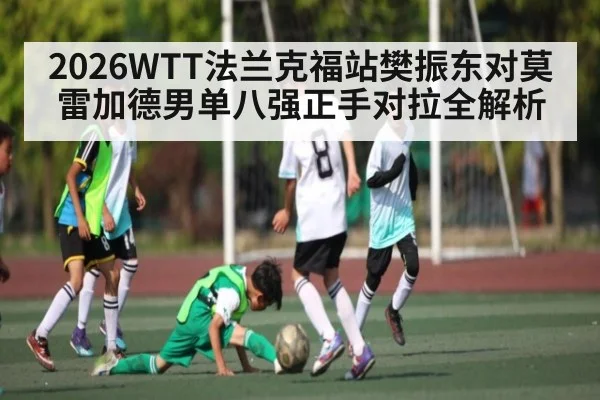 2026WTT法兰克福站樊振东对莫雷加德男单八强正手对拉全解析